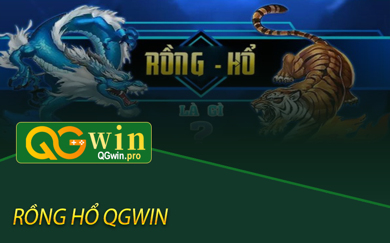 Rồng hổ Qgwin